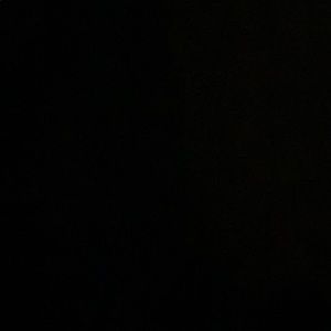 Meet your Posher, Hunter